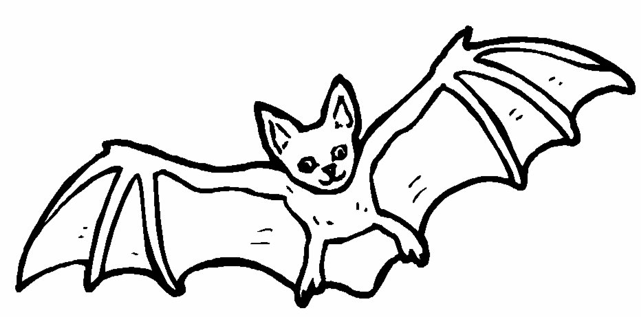 Coloriage Chauve Souris Qui Vole - Halloween chauve souris à imprimer