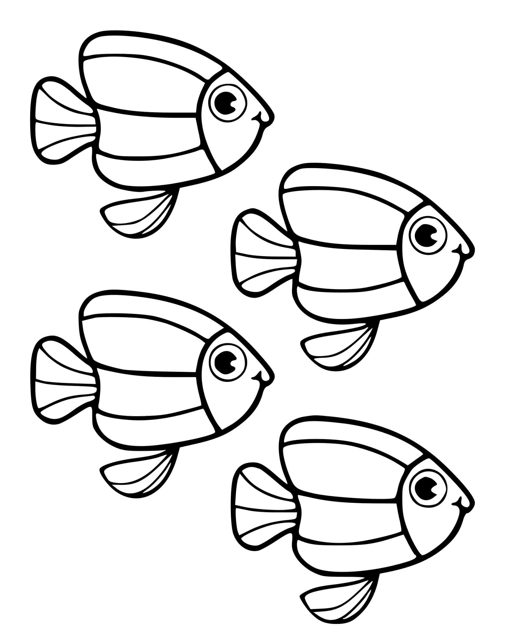 Coloriage Chelmon A Bec Mediocre - Poisson à imprimer