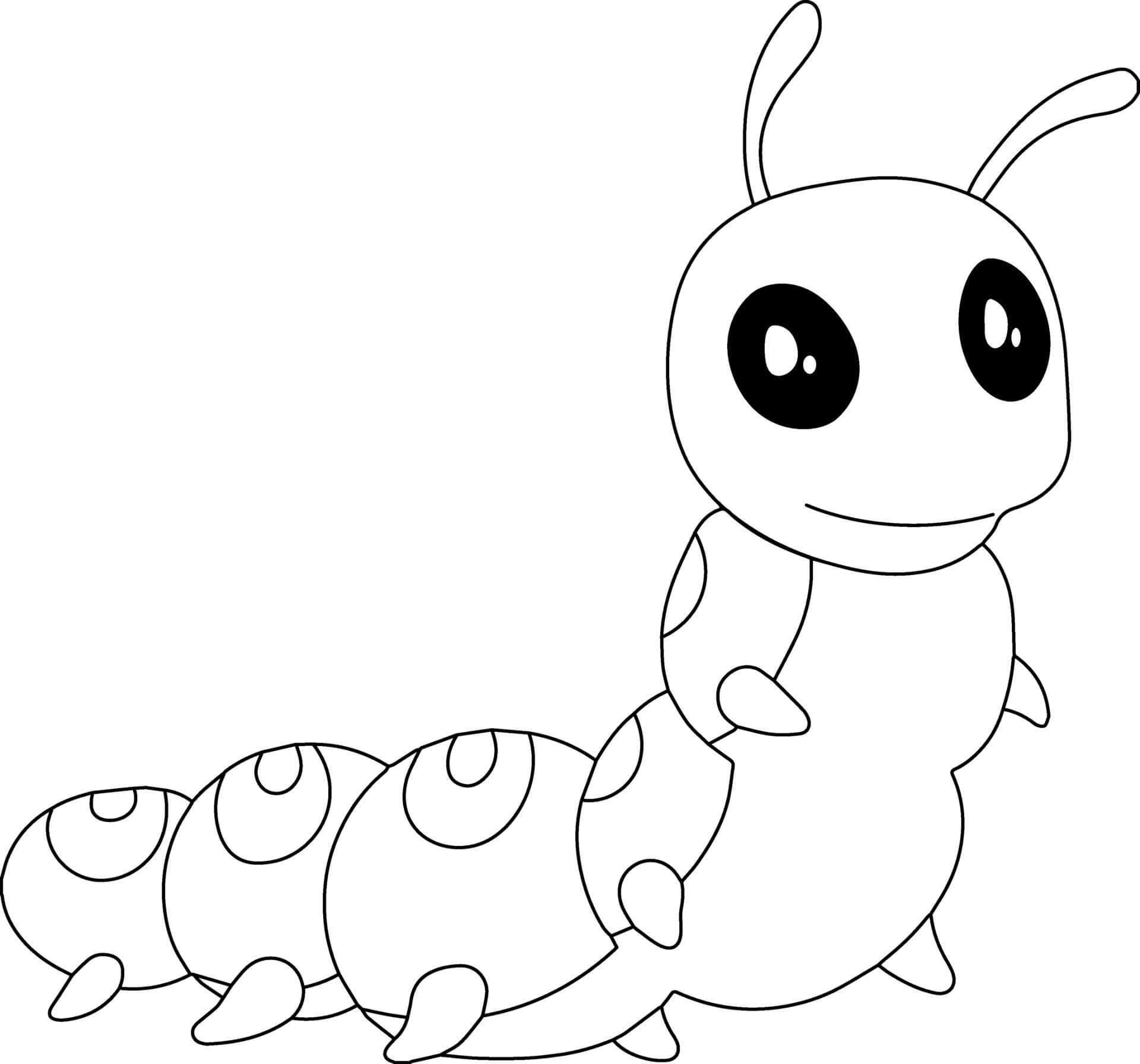 Coloriage Chenille Insecte Papillon - Animal à imprimer