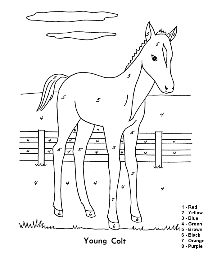 Coloriage Cheval au galop gracieux - Facile à imprimer