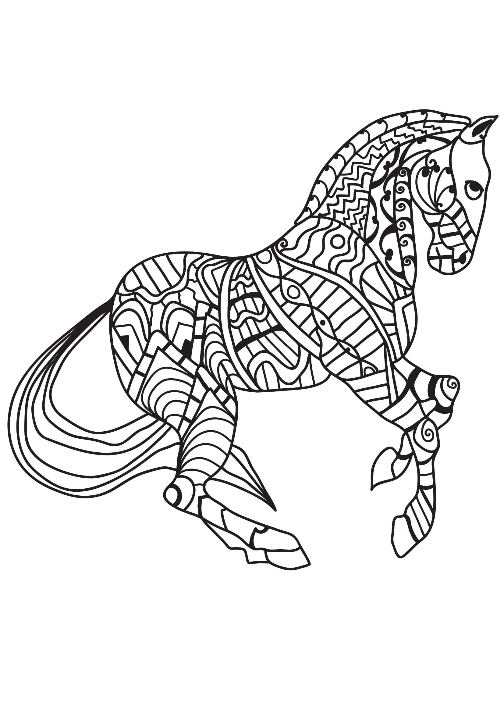 Coloriage Cheval fougueux en galop pour adulte - Adulte cheval à imprimer