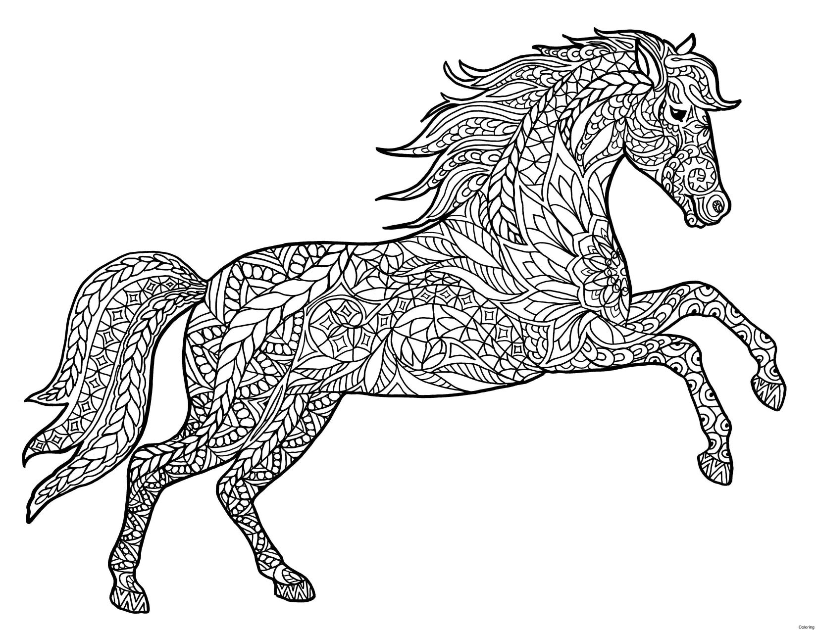 Coloriage Cheval Pour Adulte Fait Le Saut - Adulte cheval à imprimer