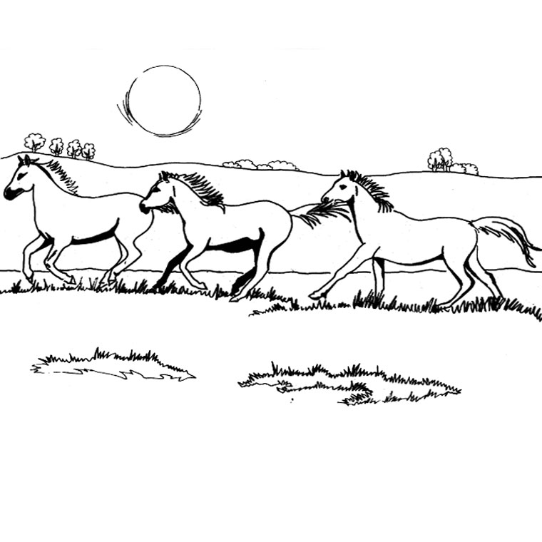 Coloriage Chevaux Galop - Cheval à imprimer