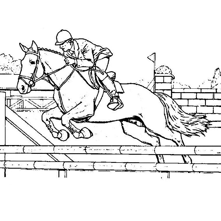 Coloriage Chevaux Saut - Cheval à imprimer