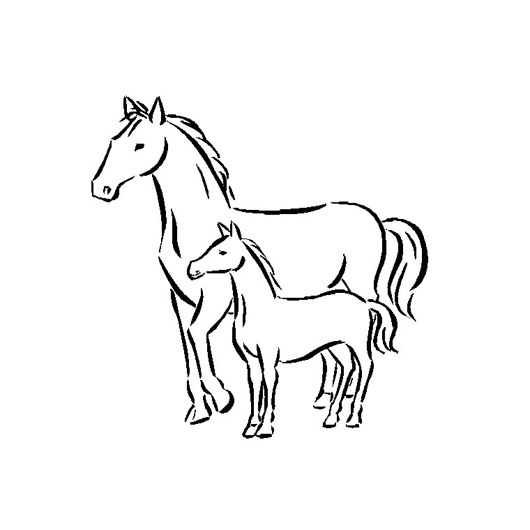 Coloriage Chevaux - Cheval à imprimer