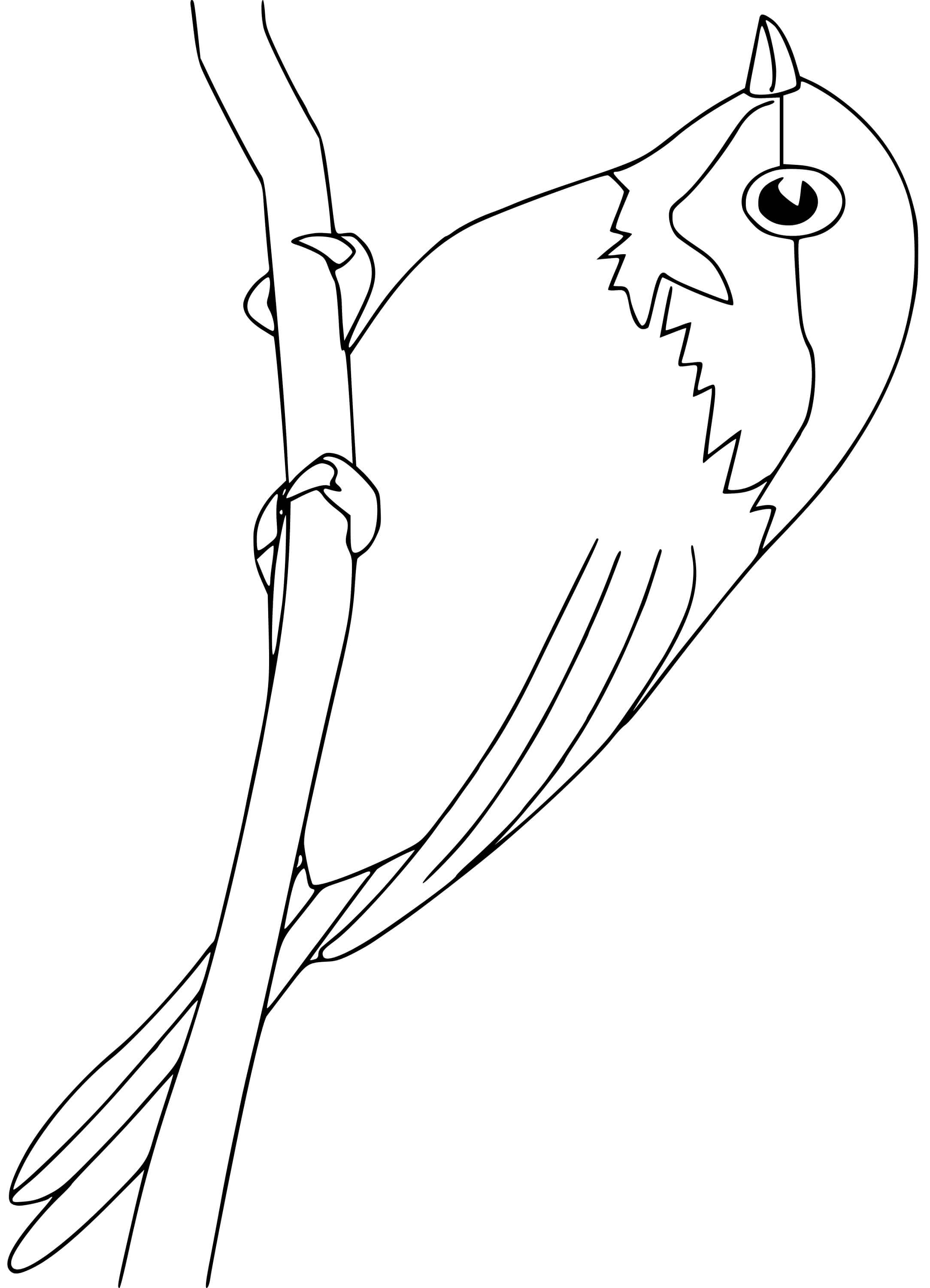 Coloriage Chickadee Oiseau - Oiseau à imprimer