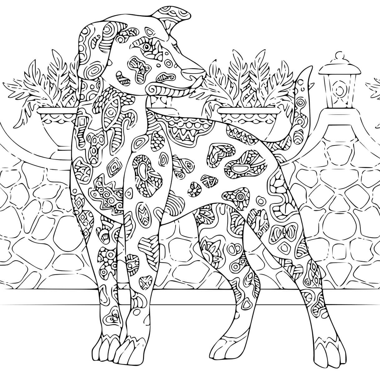 Coloriage Chien Du Pharaon Complexe Antistress - Chien à imprimer