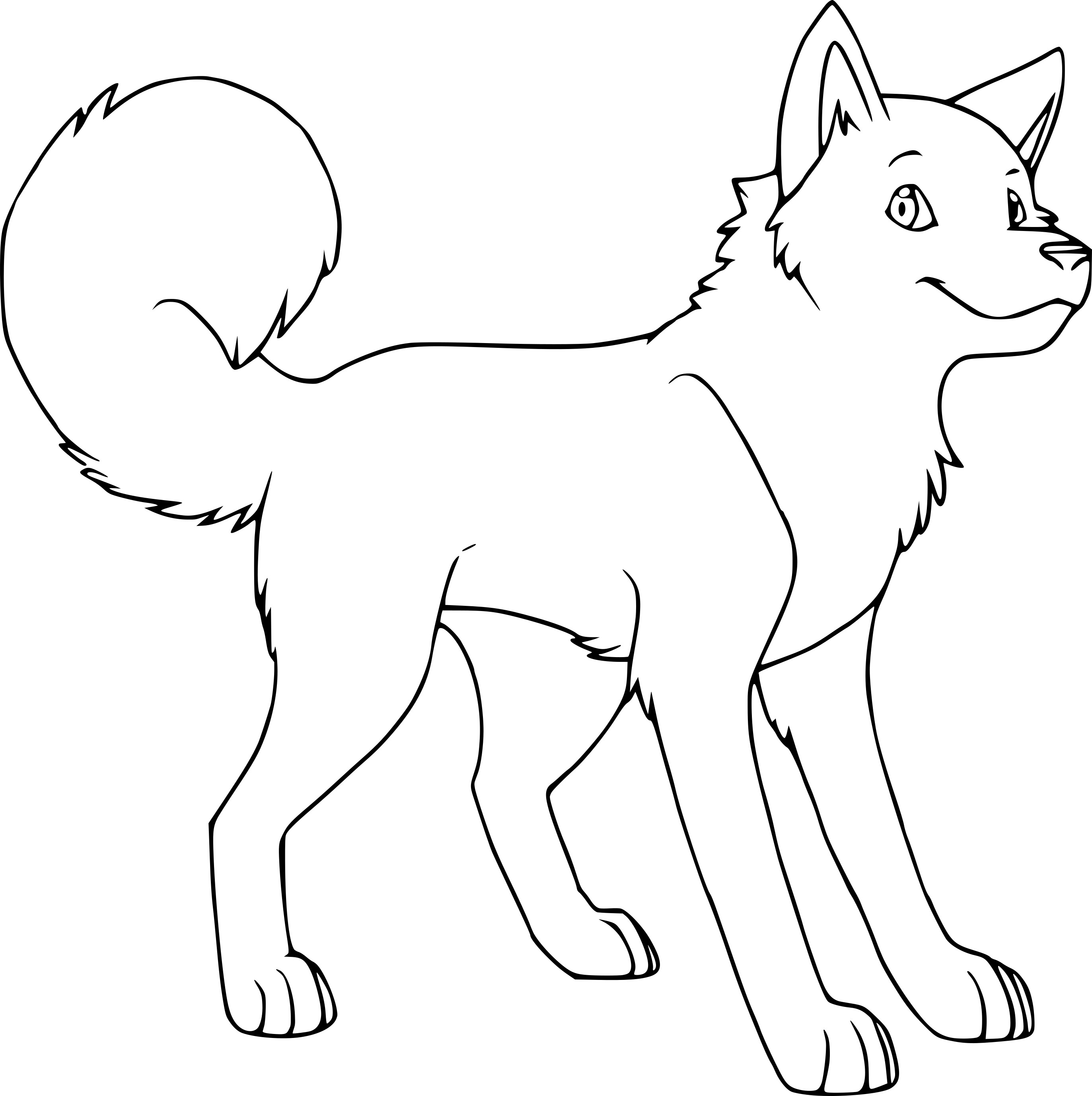 Coloriage Husky Adorable - Chien à imprimer