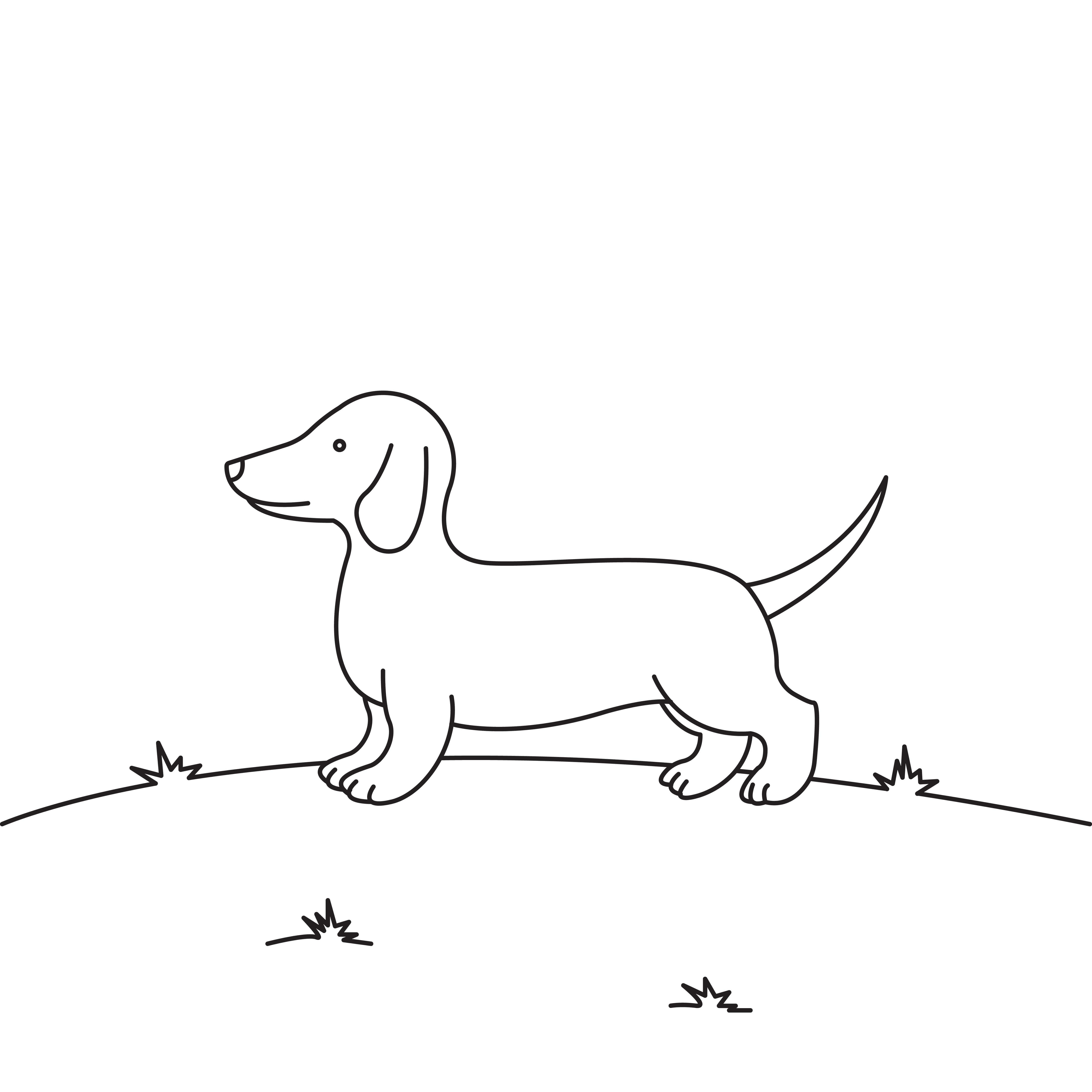 Coloriage Chien Saucisse Teckel Chien Long Avec Des Lattes Courtes - Animal à imprimer