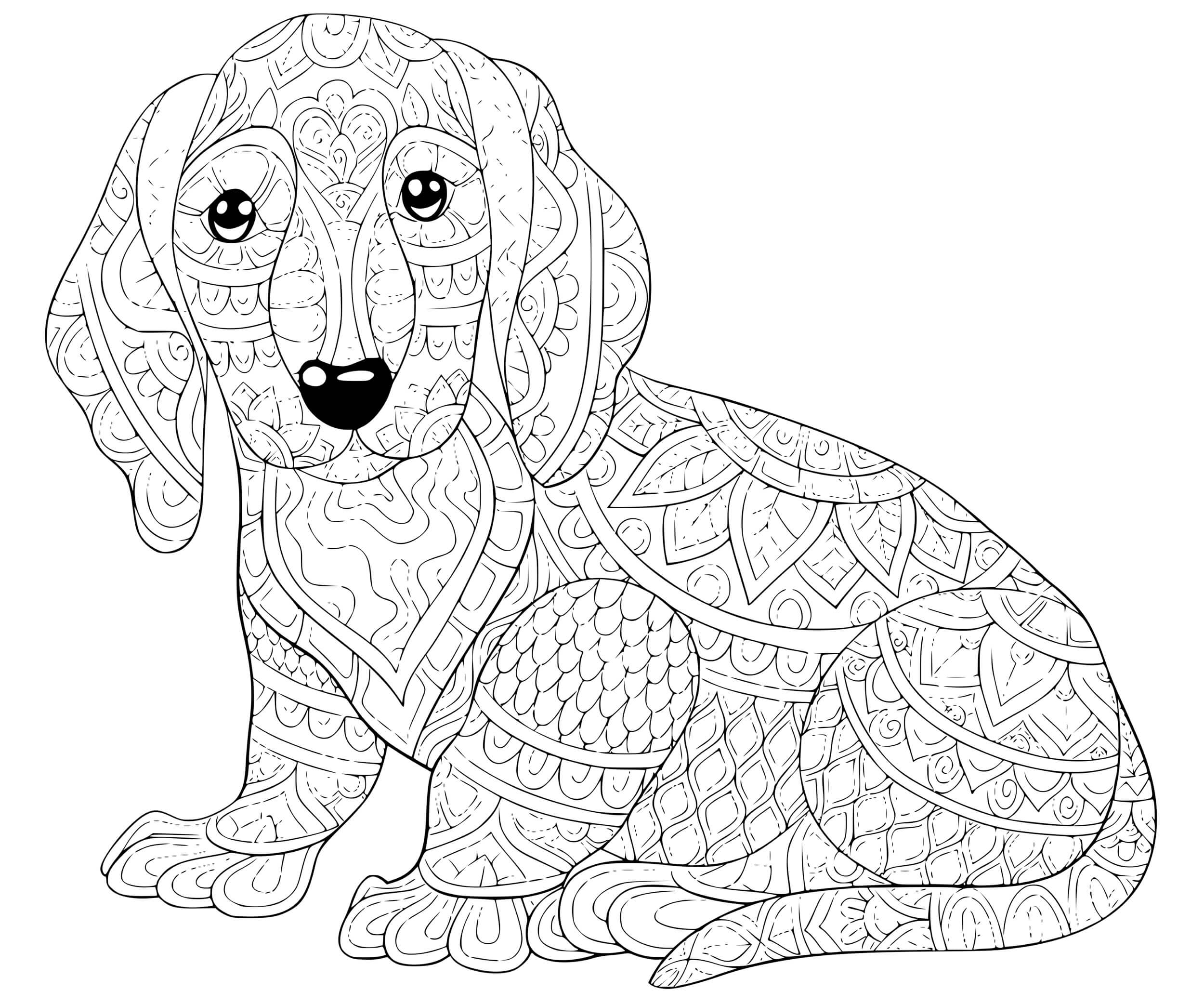 Coloriage Chien Teckel Saucisse Allemand - Chien à imprimer