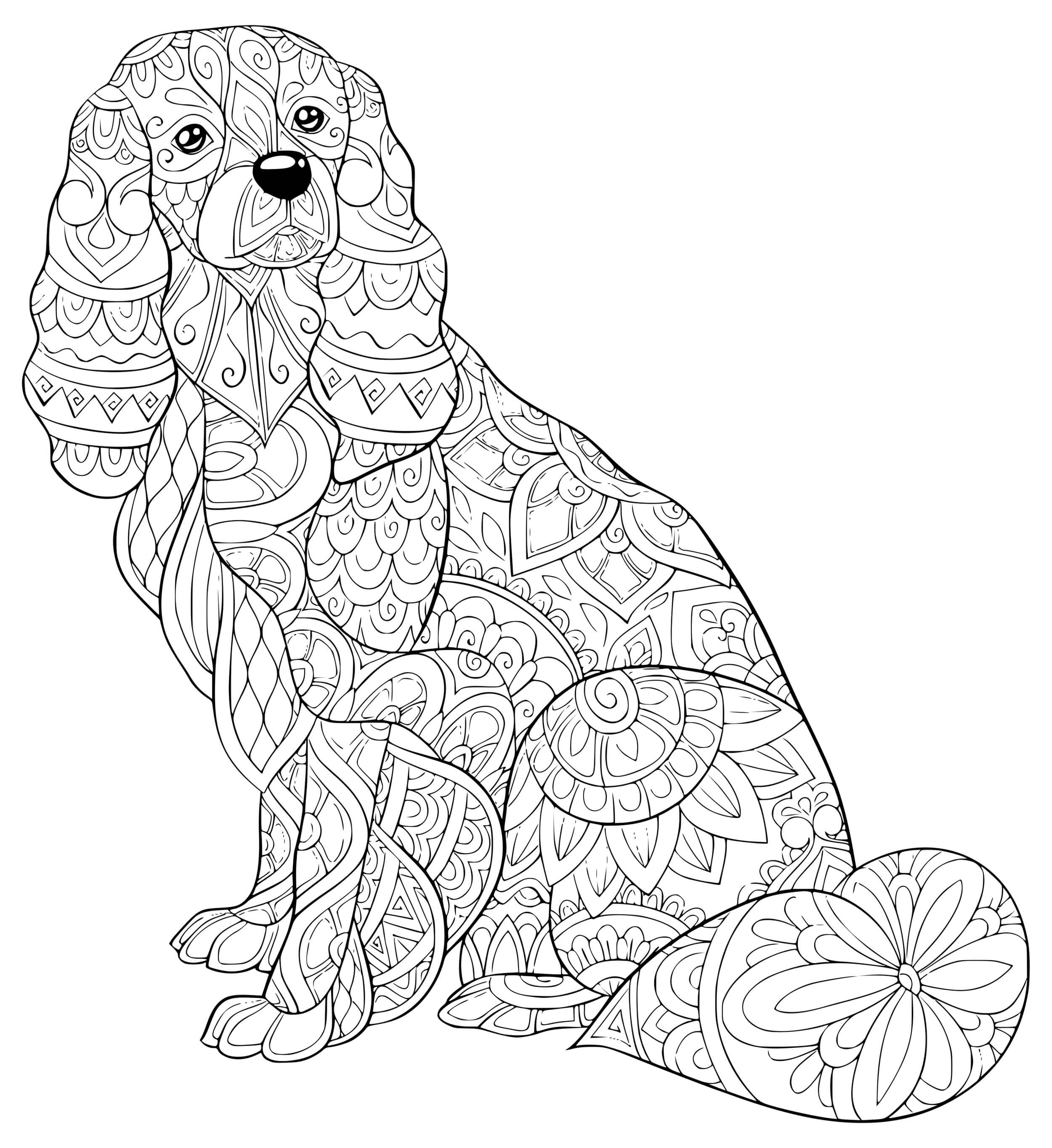 Coloriage Chien Teckel Saucisse Zentangle Pour Adulte Antistress - Chien à imprimer