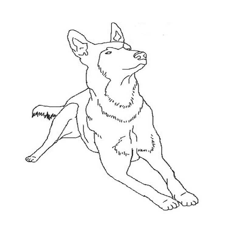 Coloriage Chiot Berger Allemand - Chien à imprimer
