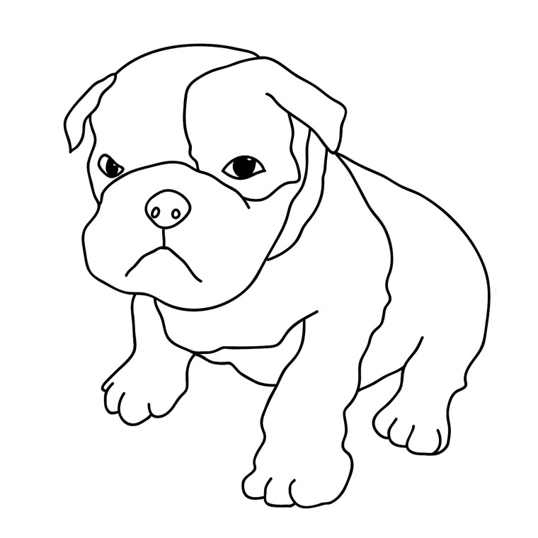 Coloriage Chiot Boxer - Chien à imprimer