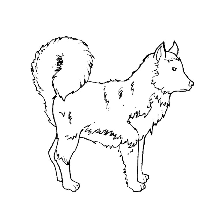 Coloriage Petit husky adorable - Chien à imprimer