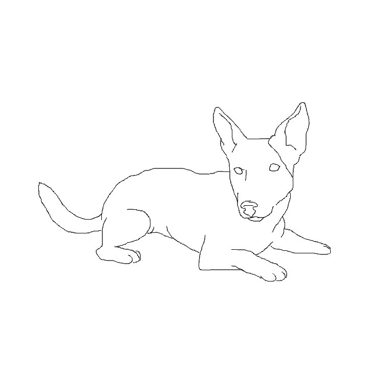 Coloriage Chiot Jack Russel - Chien à imprimer