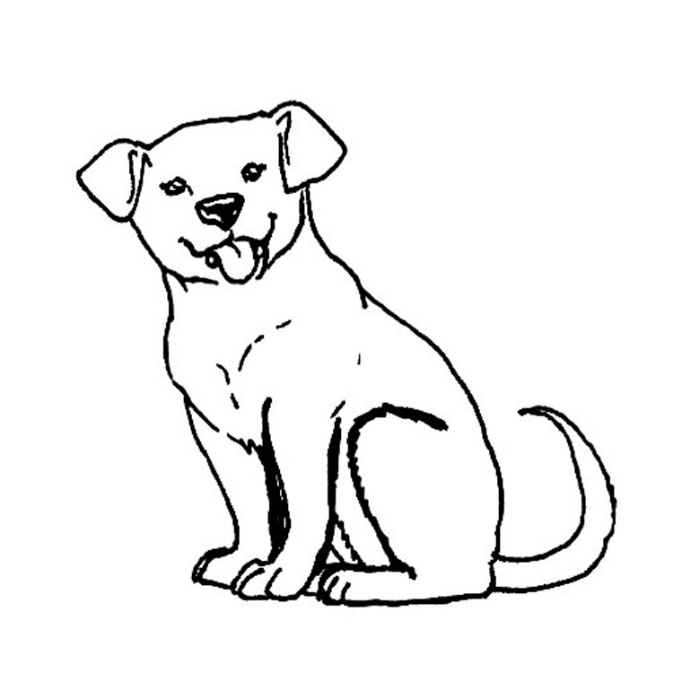 Coloriage Chiot Labrador - Chien à imprimer