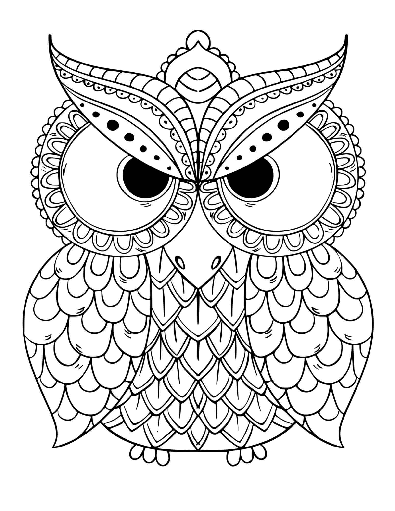 Coloriage Chouette Chouette Mandala Adulte - Chouette à imprimer