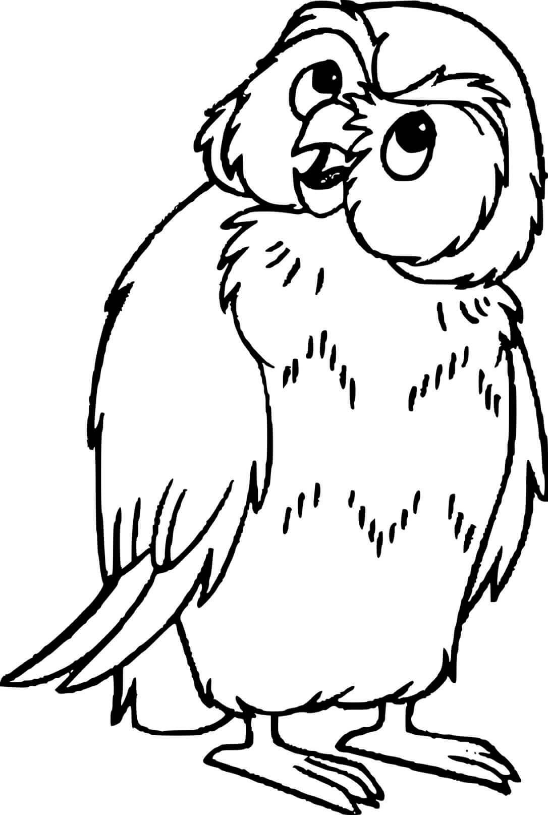Coloriage Hibou