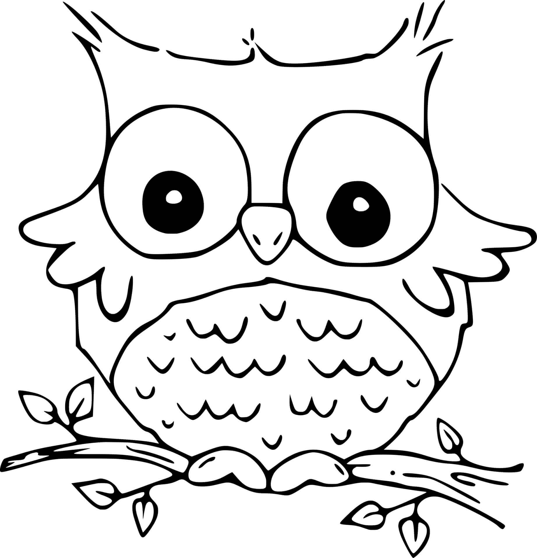 Coloriage Chouette Mignon Rigolo - Chouette à imprimer