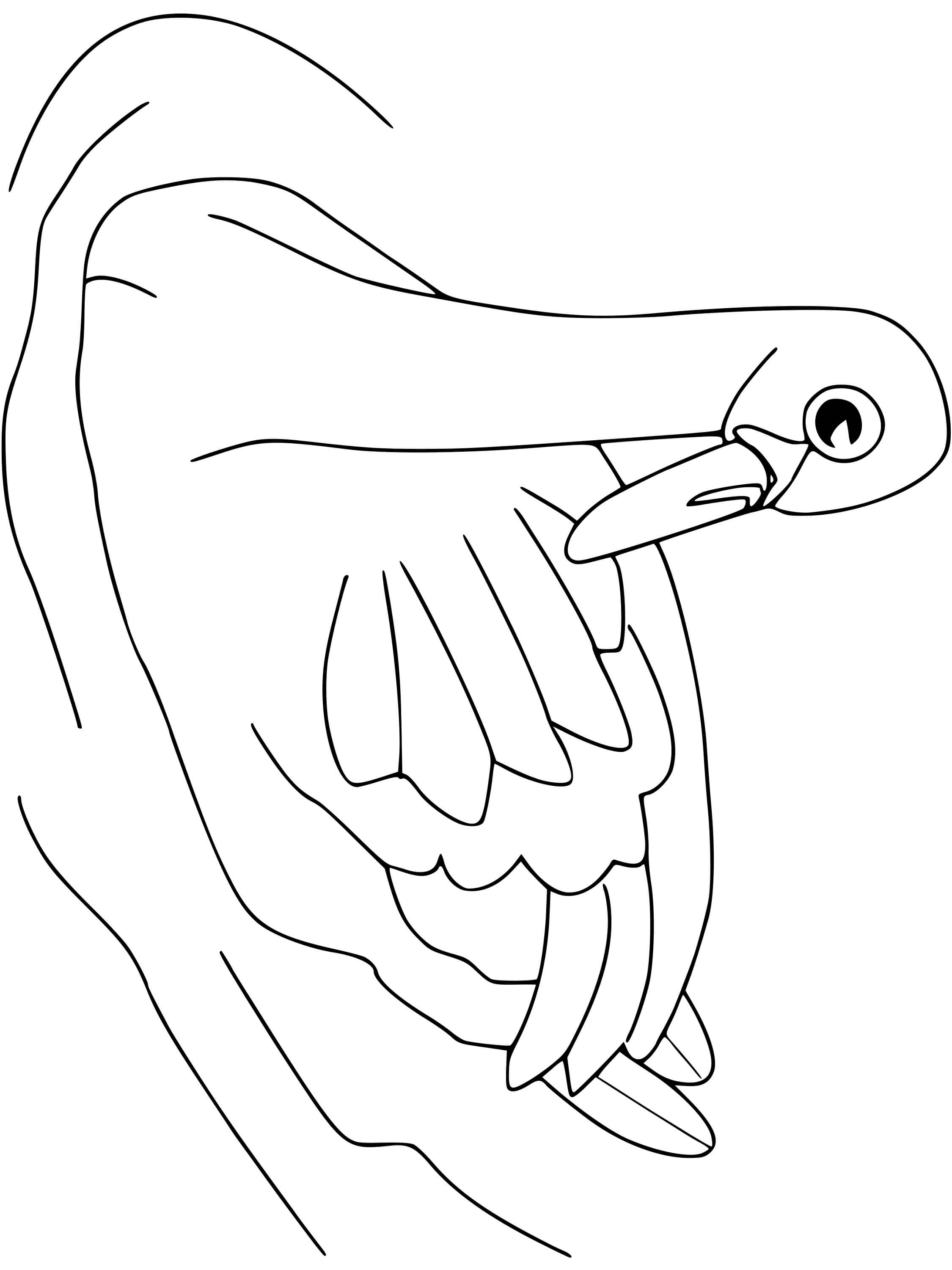 Coloriage Cigne - Oiseau à imprimer