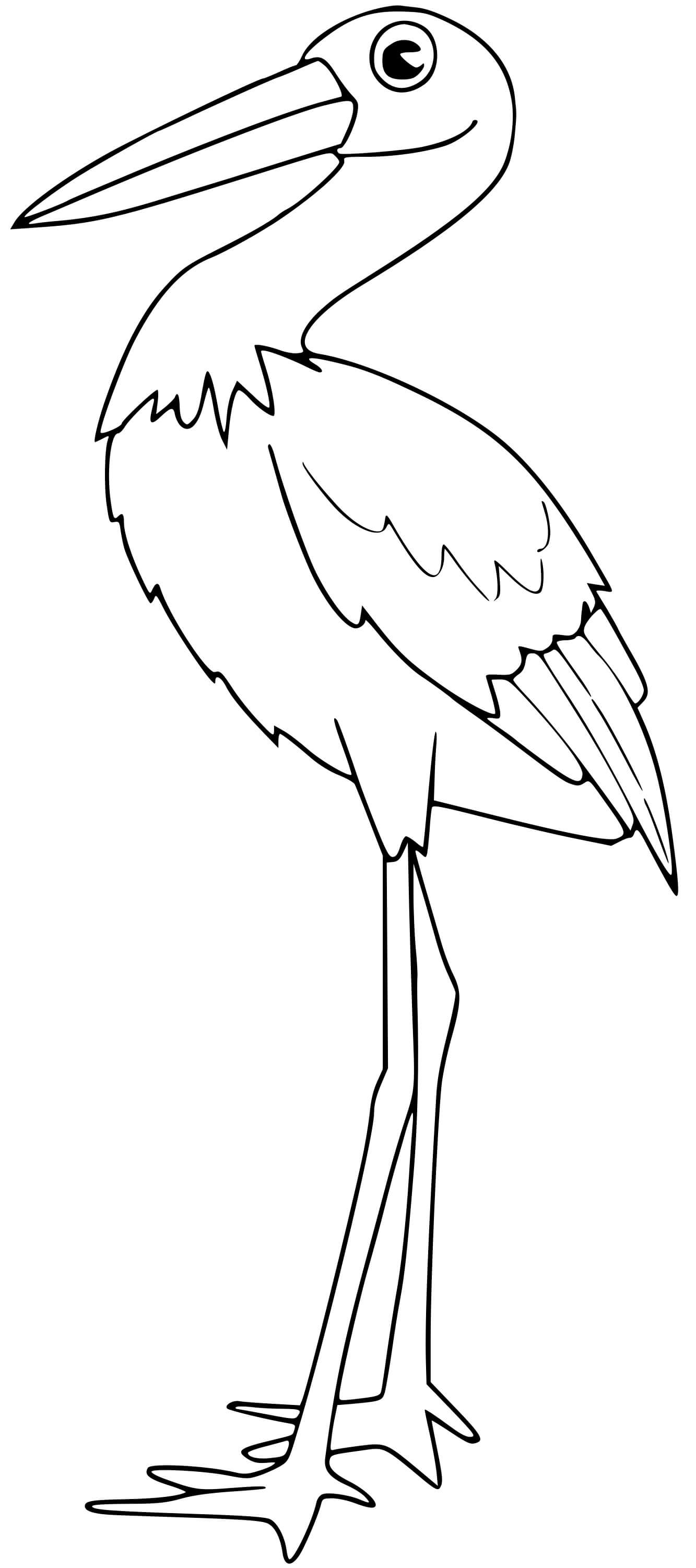 Coloriage Cigogne - Oiseau à imprimer