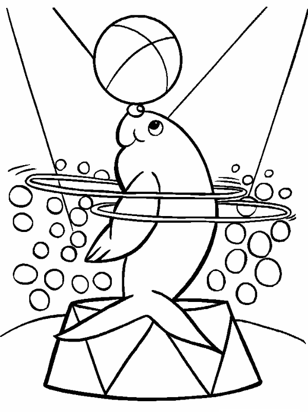 Coloriage Cirque Dauphin Ballon - Cirque à imprimer