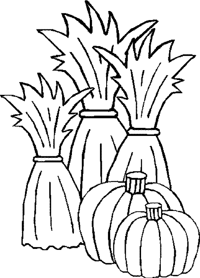 Coloriage Citrouilles - Halloween à imprimer