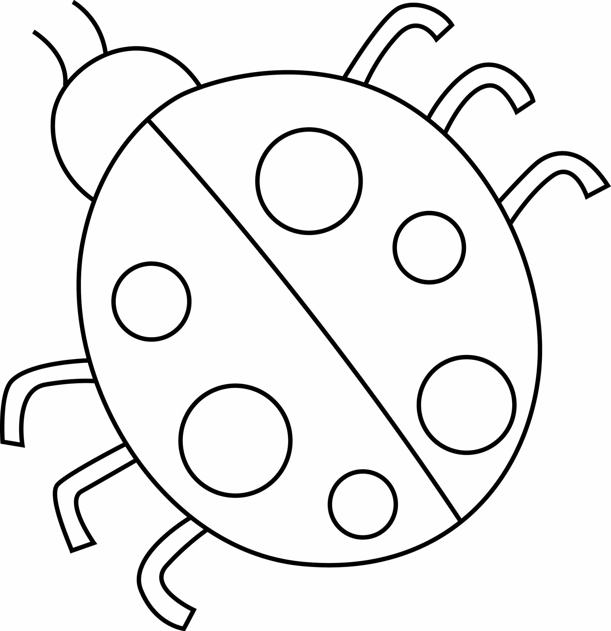Coloriage Coccinelle