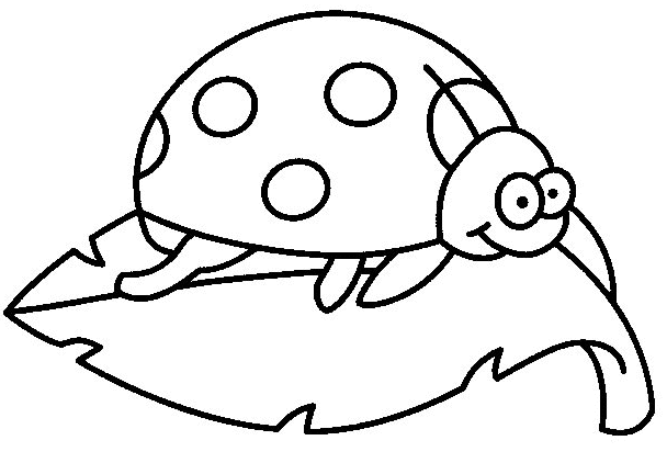 Coloriage Coccinelle Sur Une Feuille - Coccinelle à imprimer