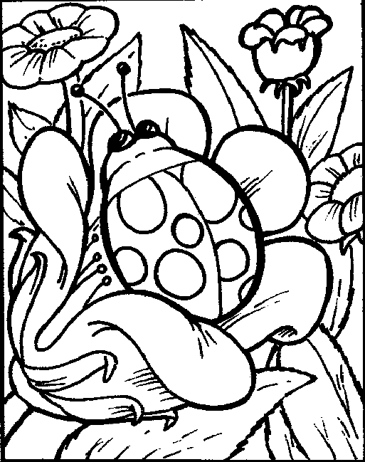 Coloriage Coccinelle Sur Une Fleur - Coccinelle à imprimer