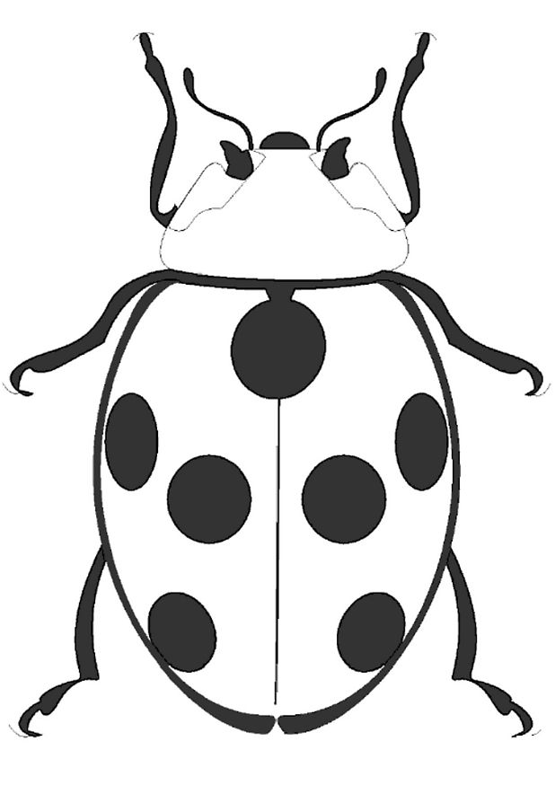 Coloriage Coccinelle Vue De Dessus - Coccinelle à imprimer