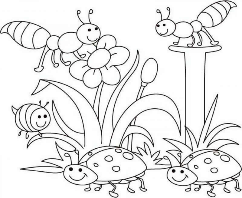 Coloriage Coccinnelle Printemps Fleurs Nature - Nature à imprimer