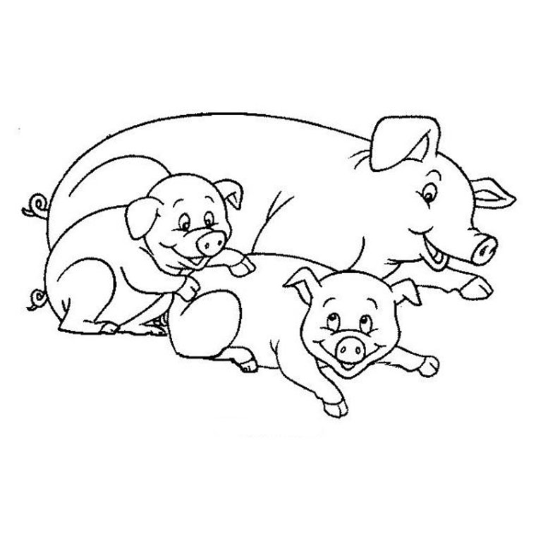 Coloriage Cochon De Lait - Animaux à imprimer