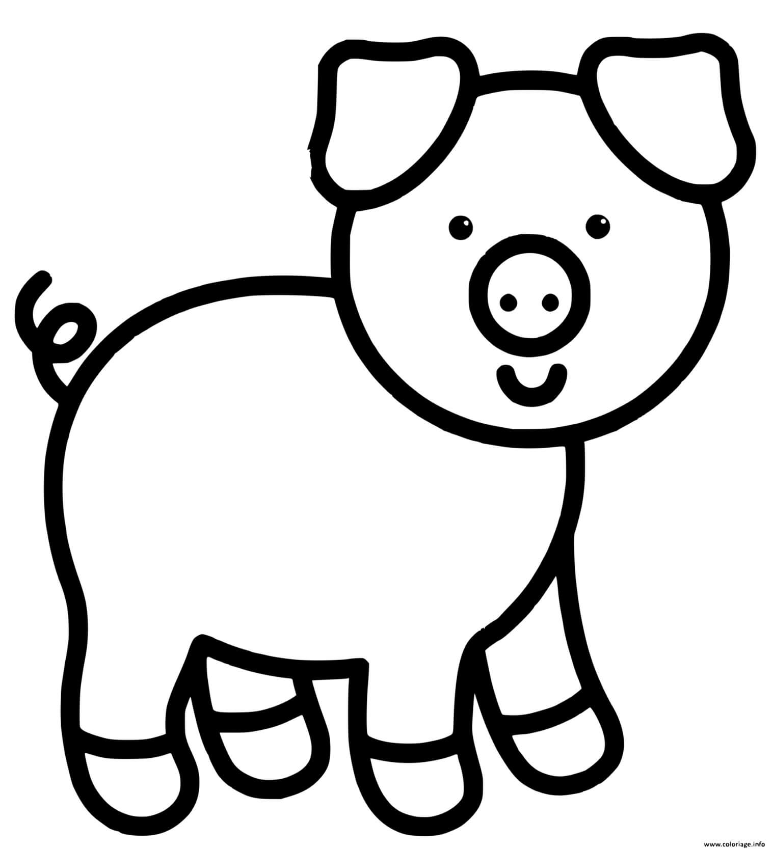 Coloriage Cochon Facile Maternelle - Cochon à imprimer