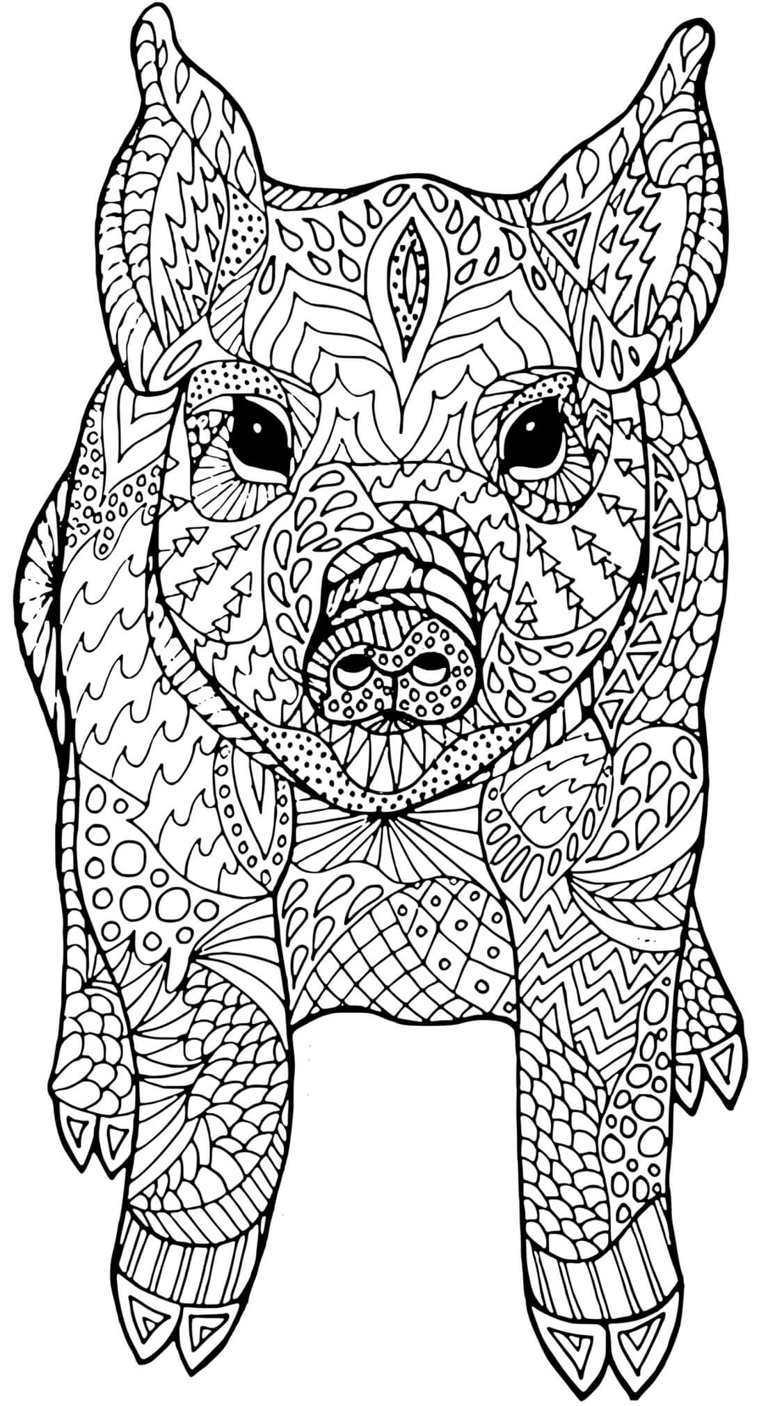 Coloriage Cochon Mandala Adulte Antistress - Cochon à imprimer