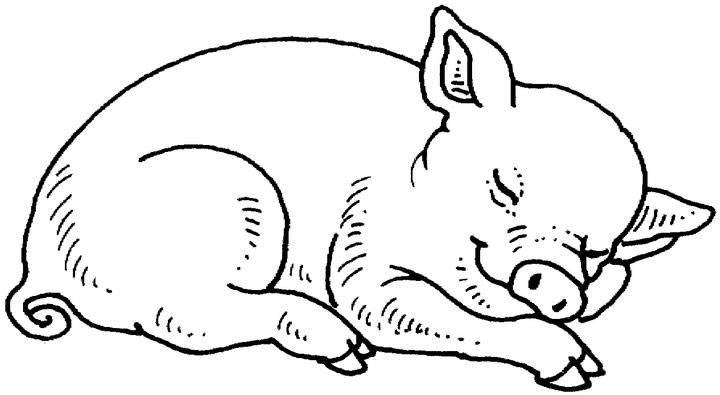 Coloriage Cochon Qui Dort - Animaux à imprimer