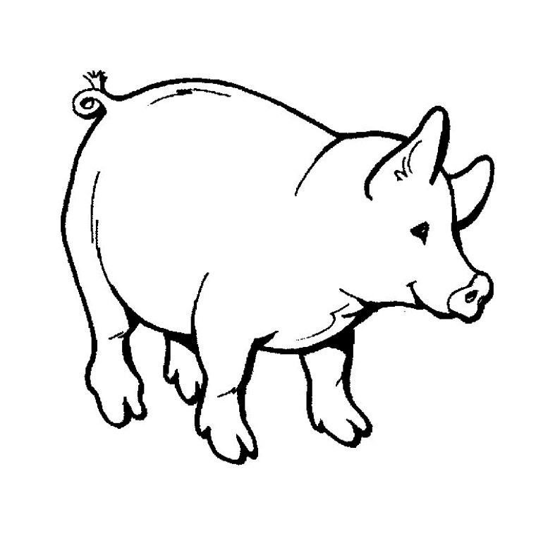Coloriage Cochon Sauvage - Animaux à imprimer