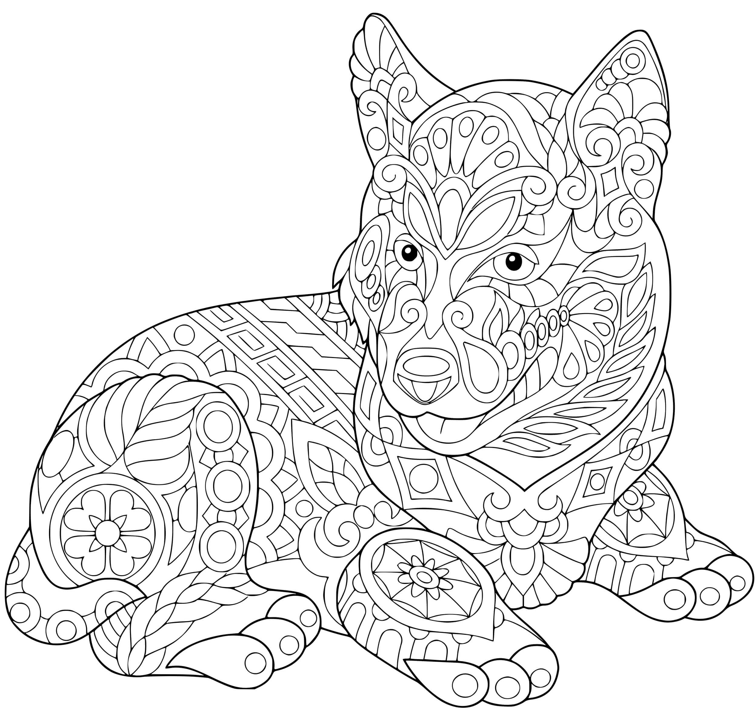 Coloriage Cocker Spaniel Anglais Chien Retriever - Chien à imprimer