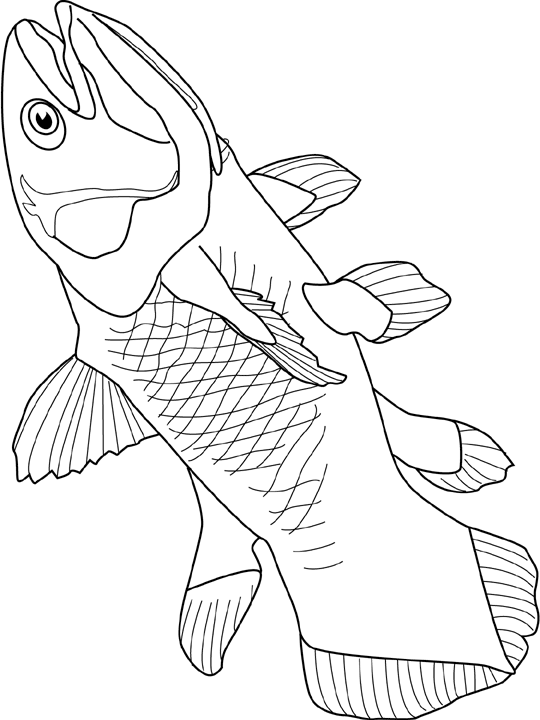 Coloriage Coelacanth - Poisson à imprimer