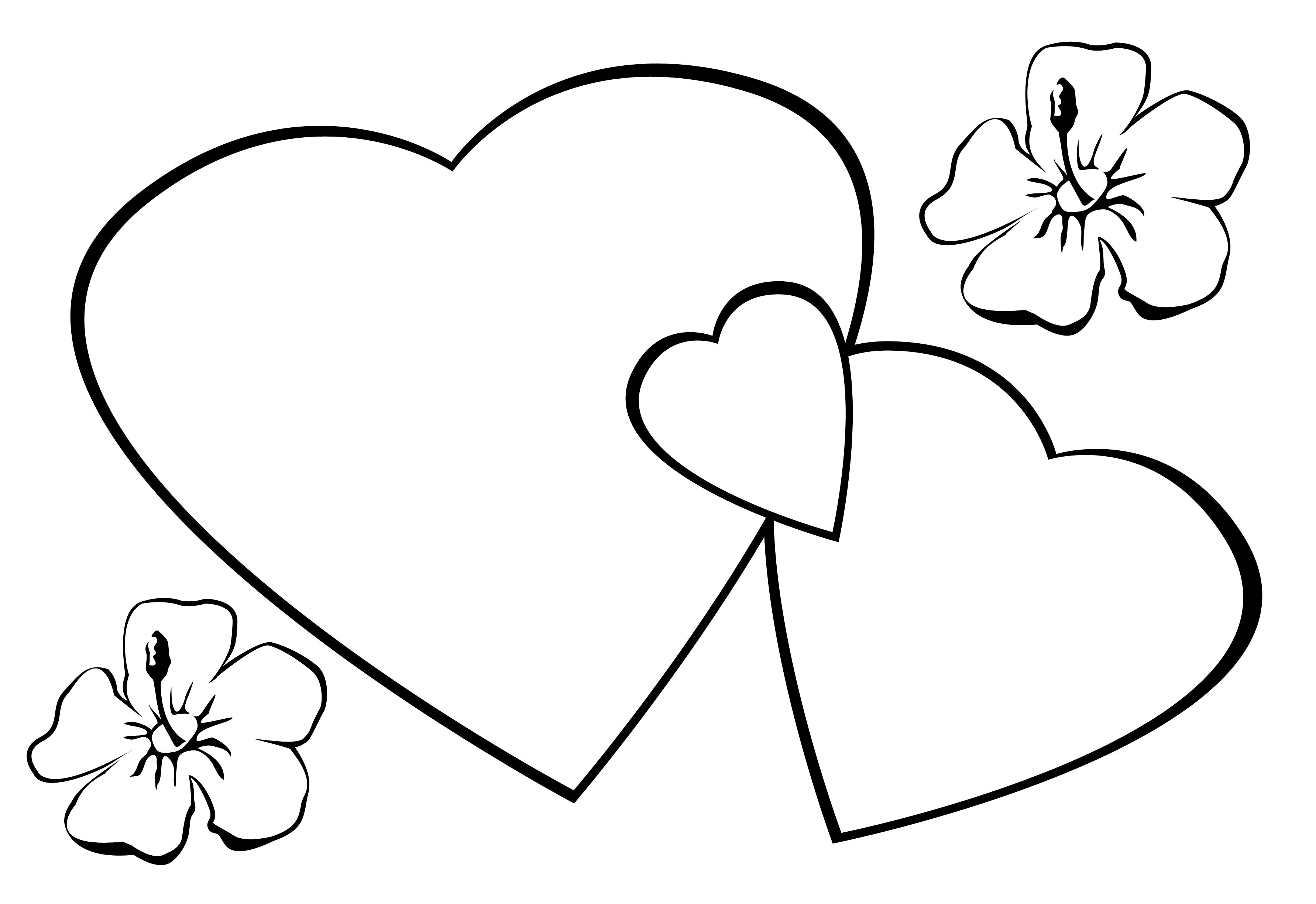 Coloriage Cœurs St Valentin Fleurs - Saint-Valentin à imprimer