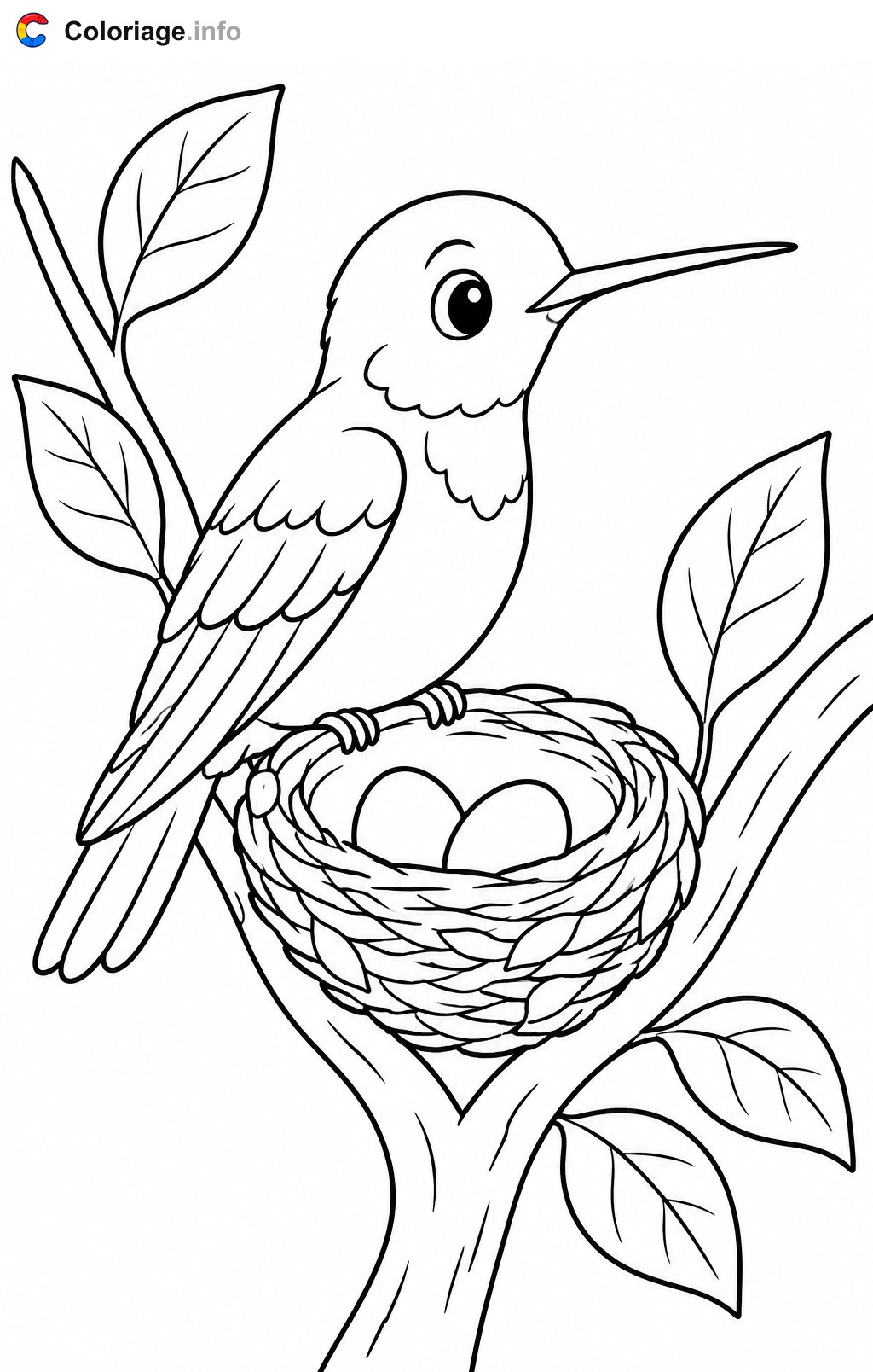 Kolibri im Nest – Ausmalbilder zum Ausdrucken kostenlos — Ausmalbild