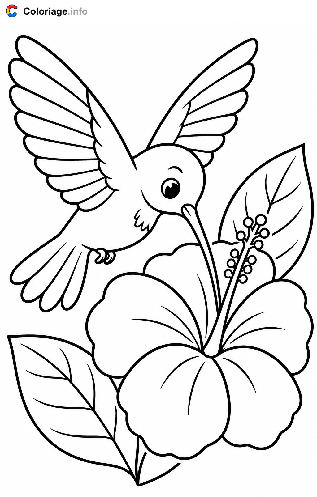 Kolibri Ausmalbilder - Kolibri beim Blütenbesuch — Ausmalbild zum