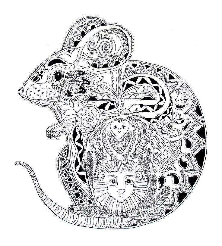 Coloriage Coloriage Adulte Animaux Souris - Souris à imprimer