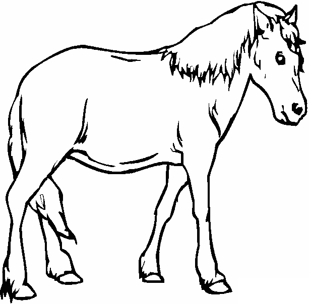 Coloriage Coloriage De Cheval - Cheval à imprimer