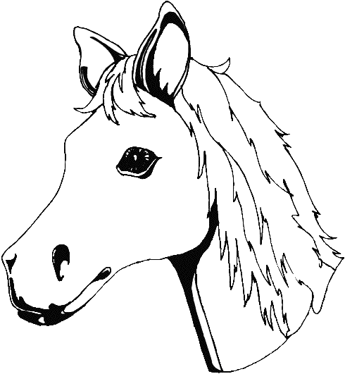 Coloriage Coloriage De La Tête D'Un Cheval - Cheval à imprimer