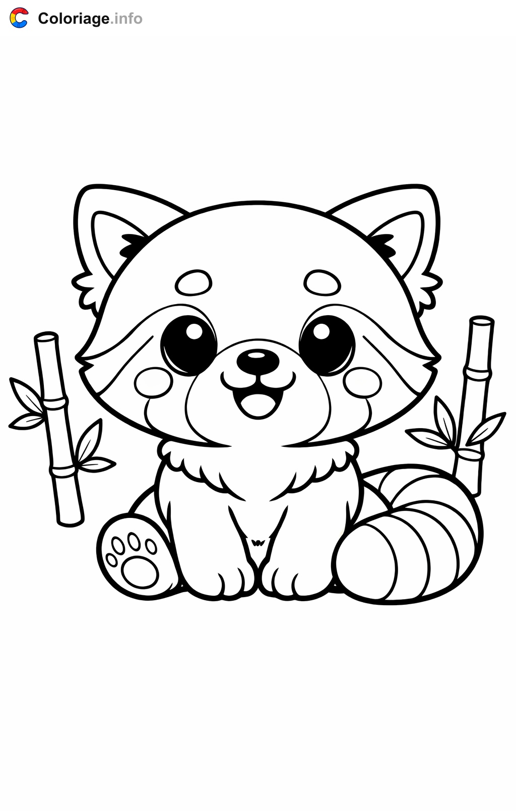 Panda roux