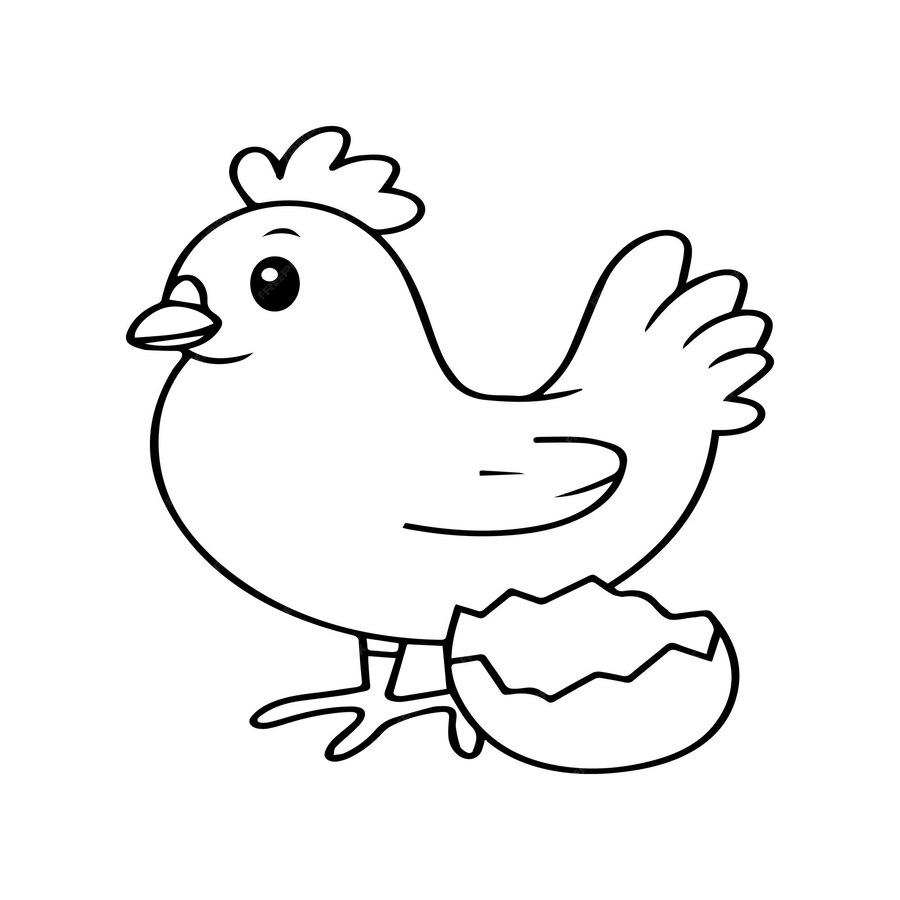 Coloriage Contour De Poulet Style Bébé - Poule à imprimer
