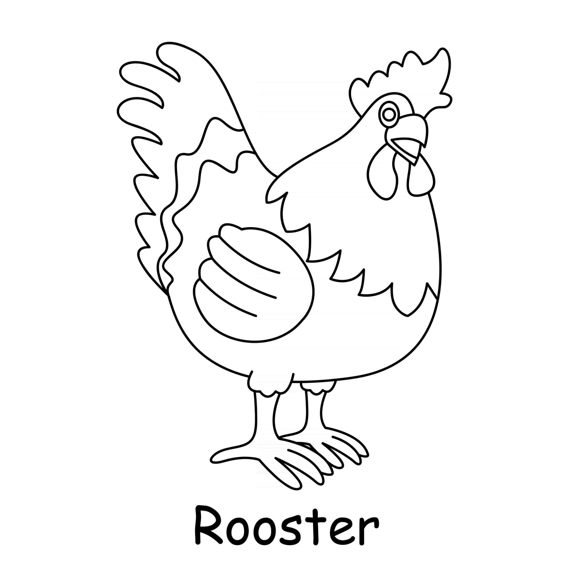 Coloriage Coq Poule Male Rooster - Animal à imprimer