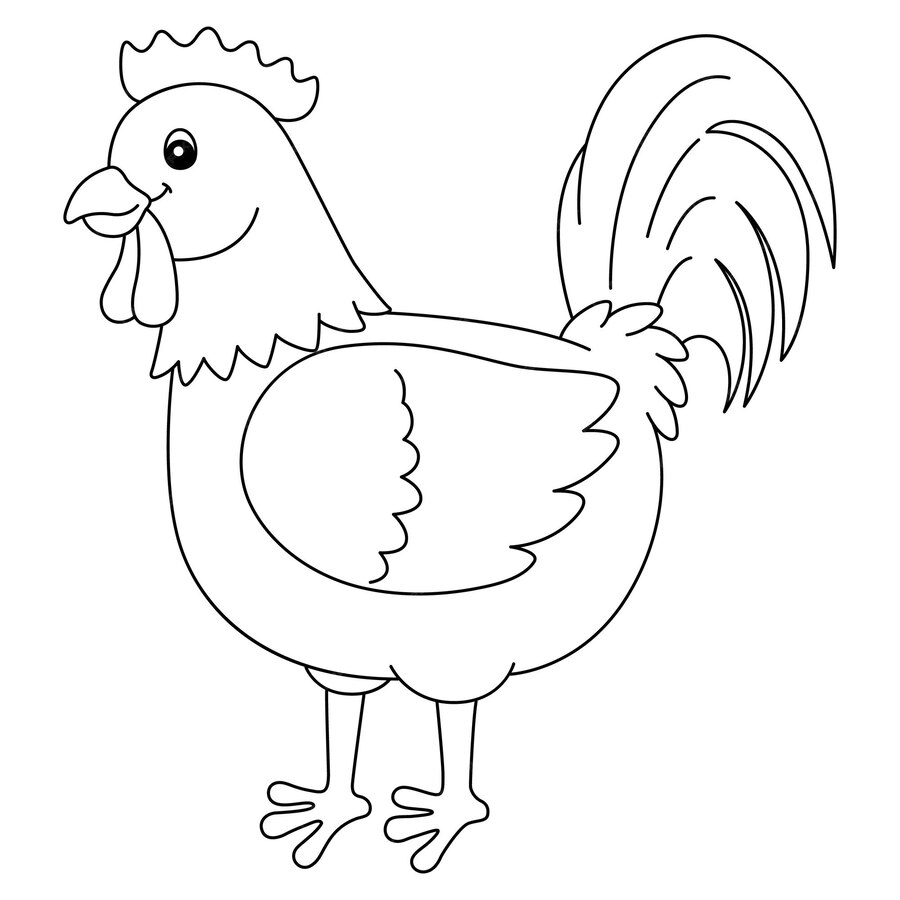Coloriage Coq isolé pour enfants - Poule à imprimer