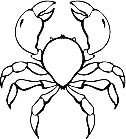 Coloriage Crabe